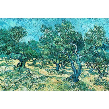 Olive Grove - Van Gogh